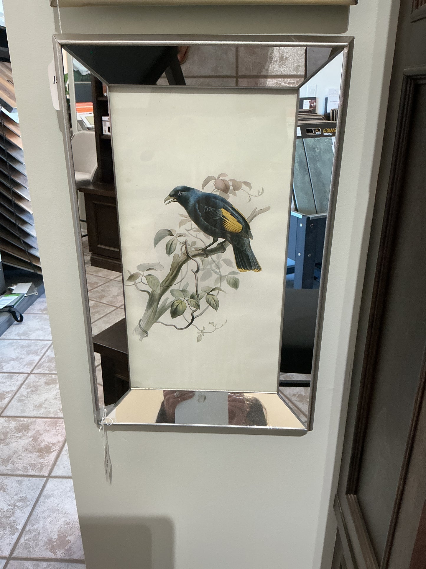Mirror bird picture