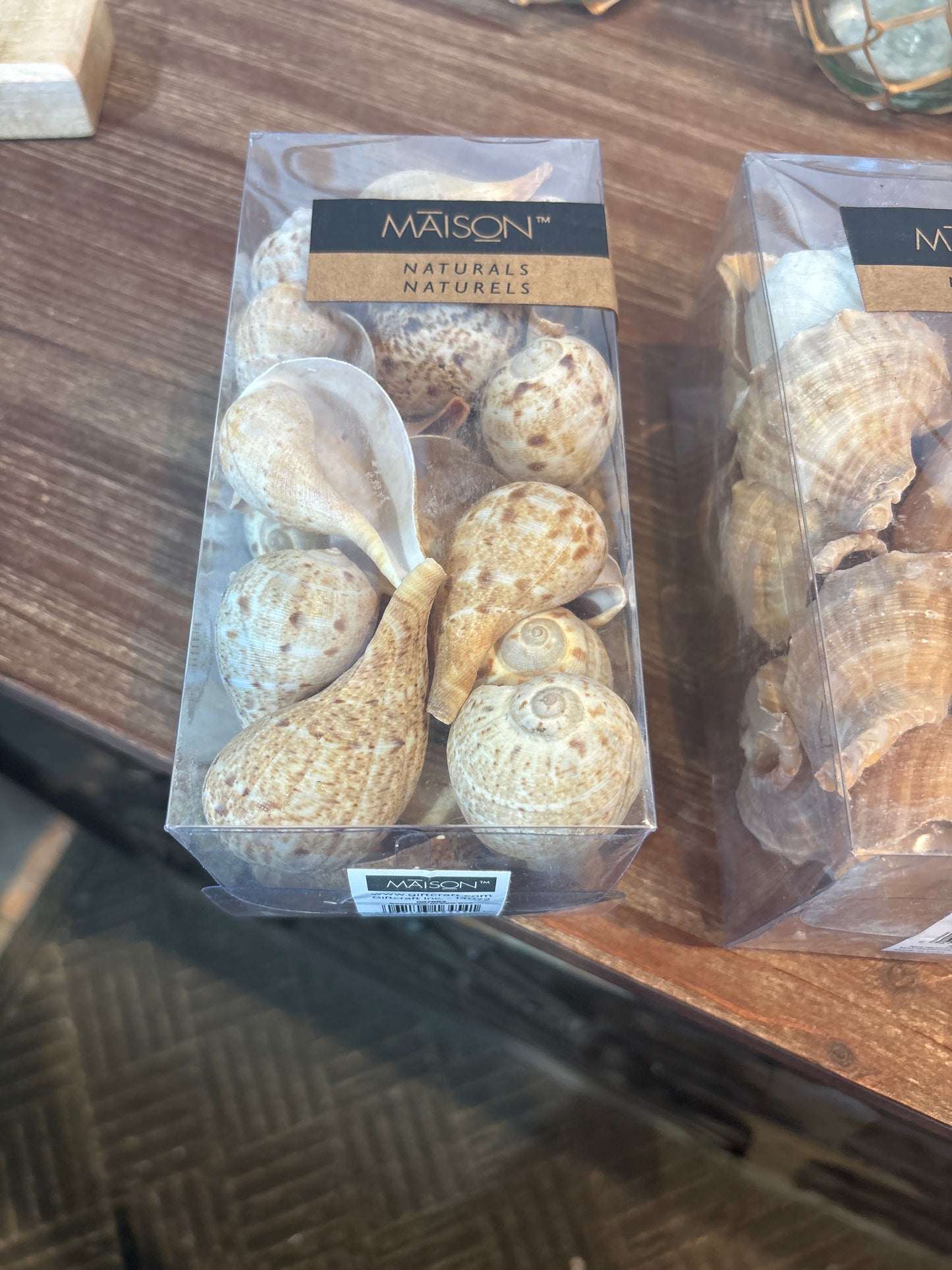 Assorted Box Of Shells