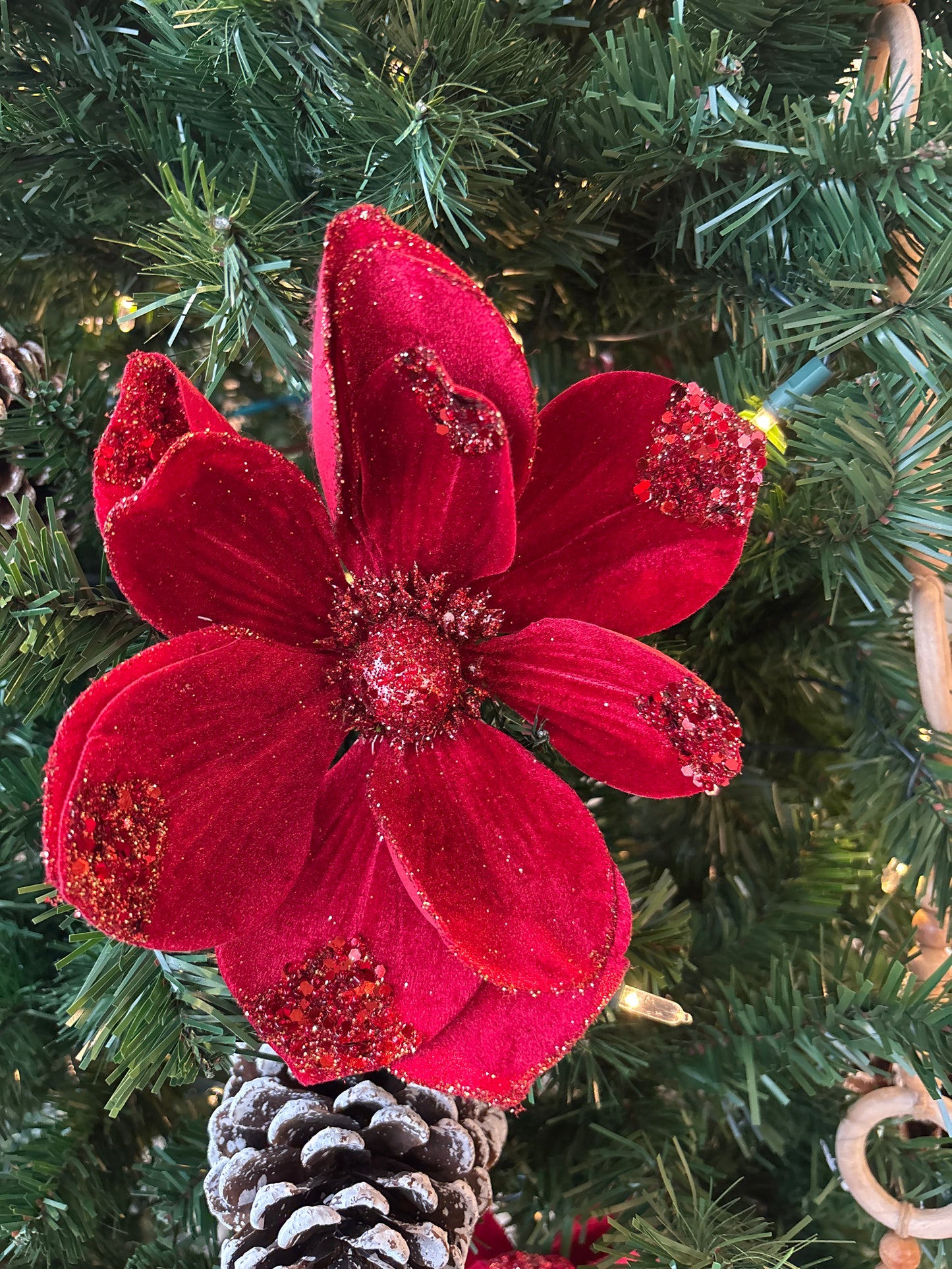 Red Christmas Flower