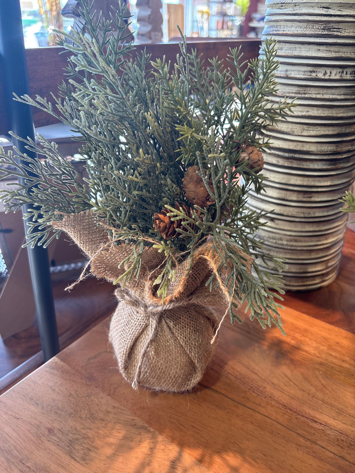 Christmas Cedar Tree