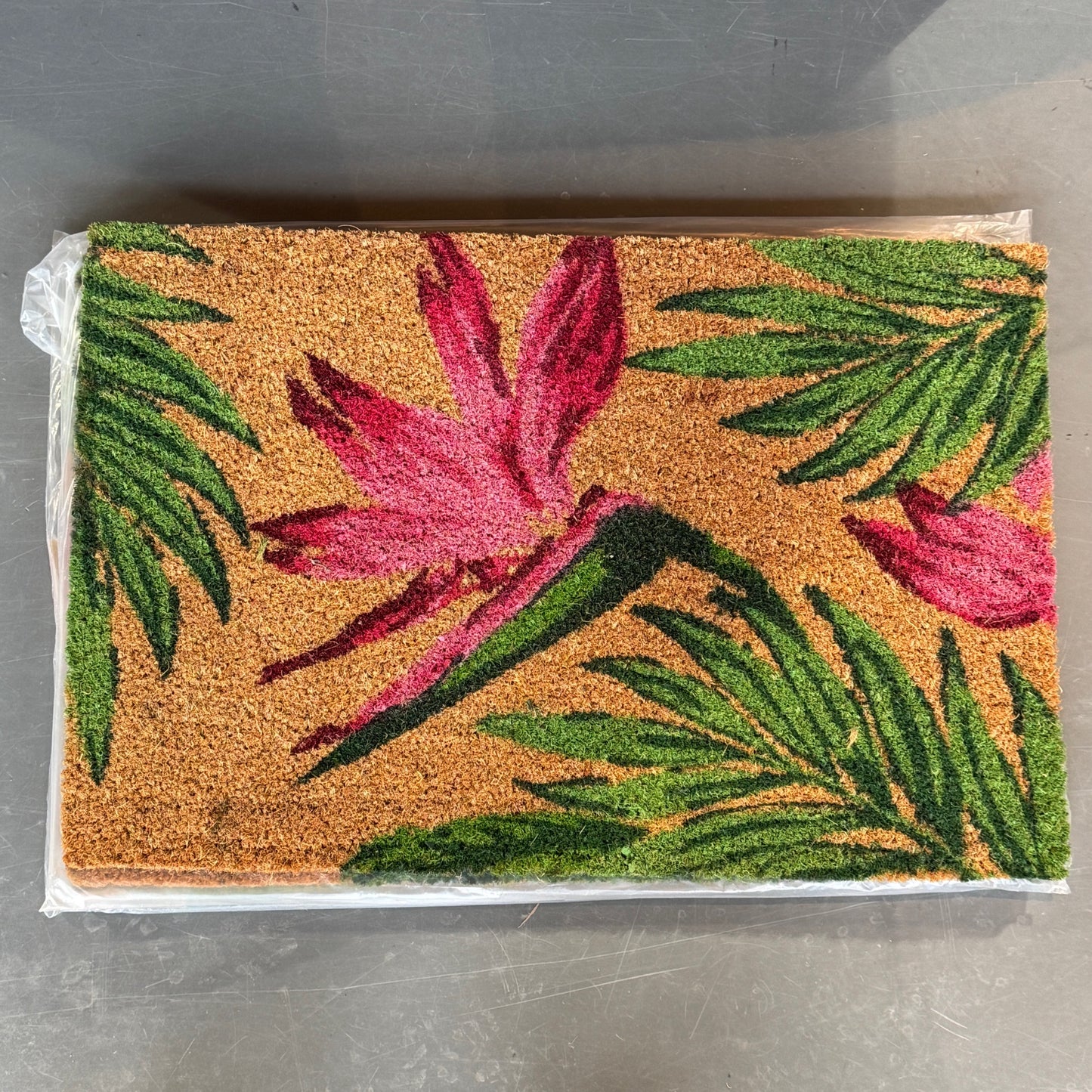 Doormat bird of paradise
