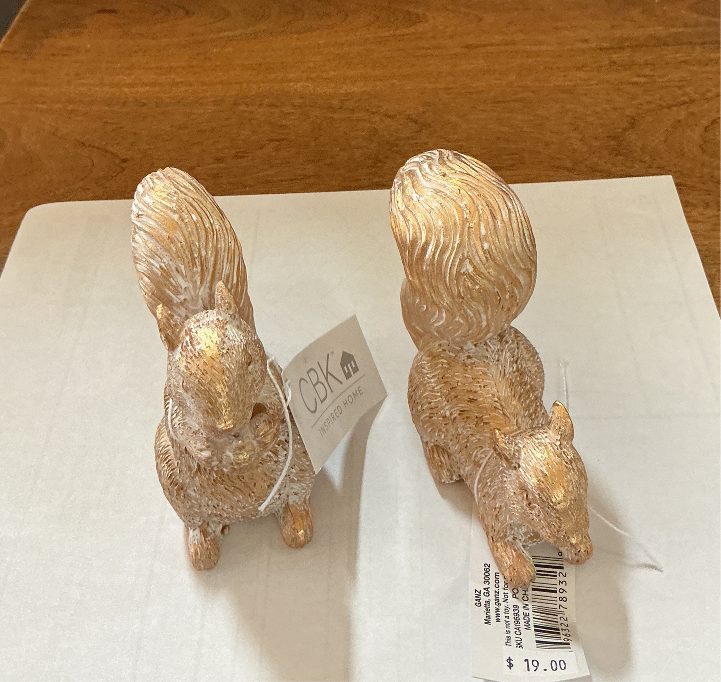 Squirrel