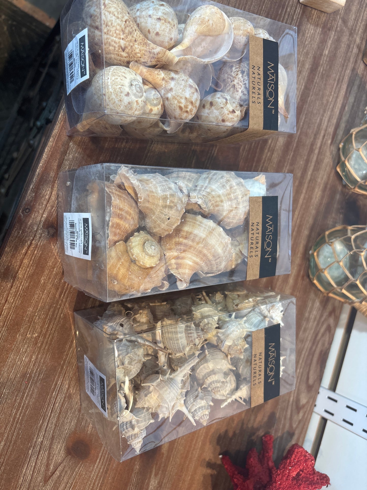 Assorted Box Of Shells
