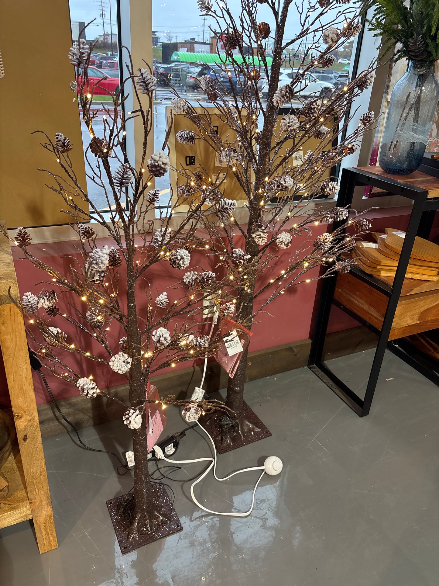 Woodland Tree With Pine Cones S