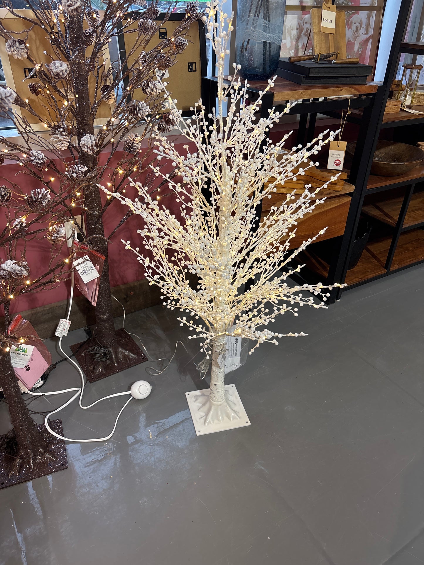 White Woodland Tree With White Berries