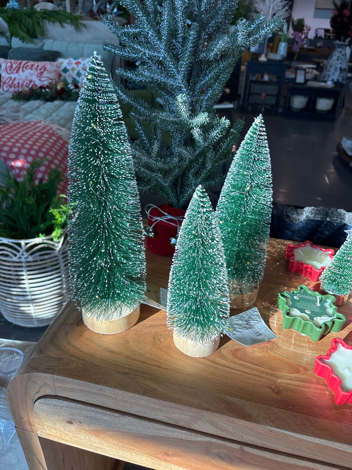 Led Bottle Brush/White Tip Snow Set of Three