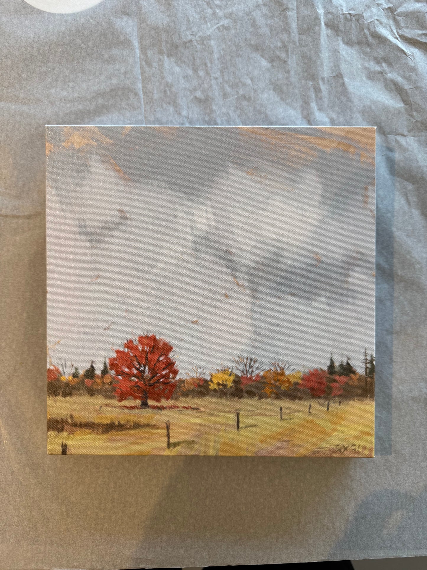 Autumn Trees Field Painting