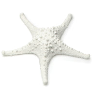 Md 3D Starfish-White-7.5