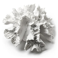Flower Coral-White-5