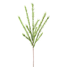 Load image into Gallery viewer, Green Desert Pine Stem

