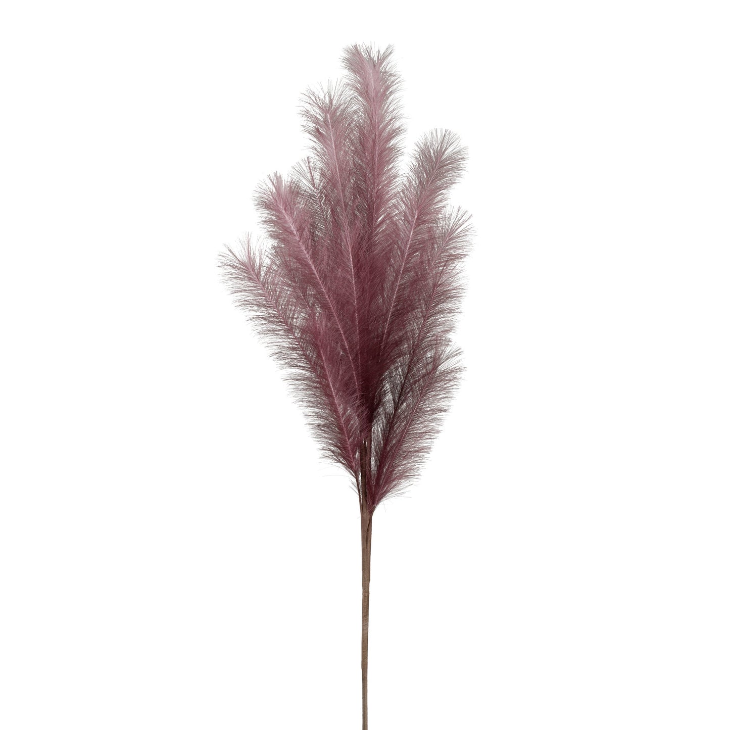 Purple - Desert Feather Pampas Stem - Purple