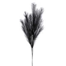 Load image into Gallery viewer, Black - Desert Feather Pampas Stem - Black


