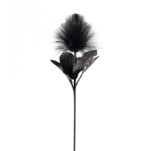Load image into Gallery viewer, Desert Blooming Feather Pod Stem - Black

