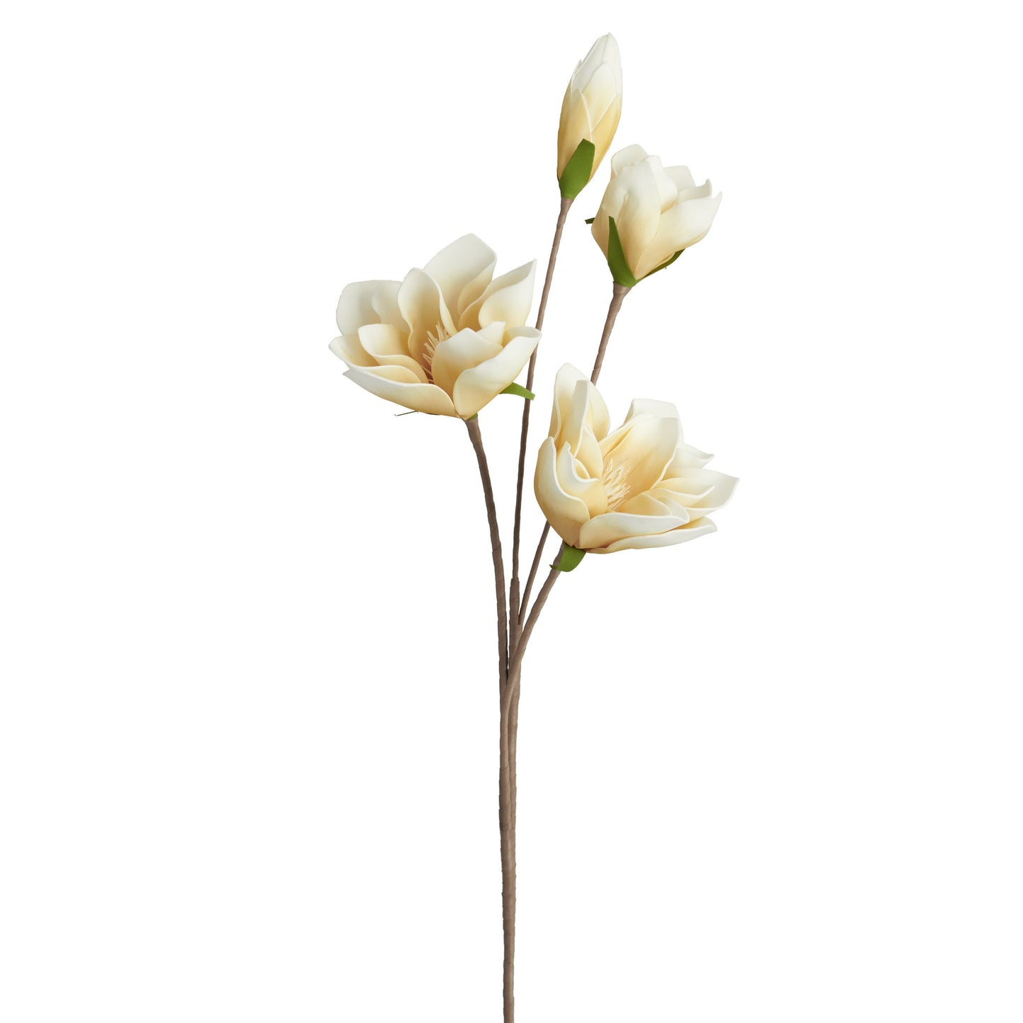 Yello Desert Four Bloom Magnolia Stem
