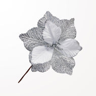 Snowy and Silver Poinsettia Flower