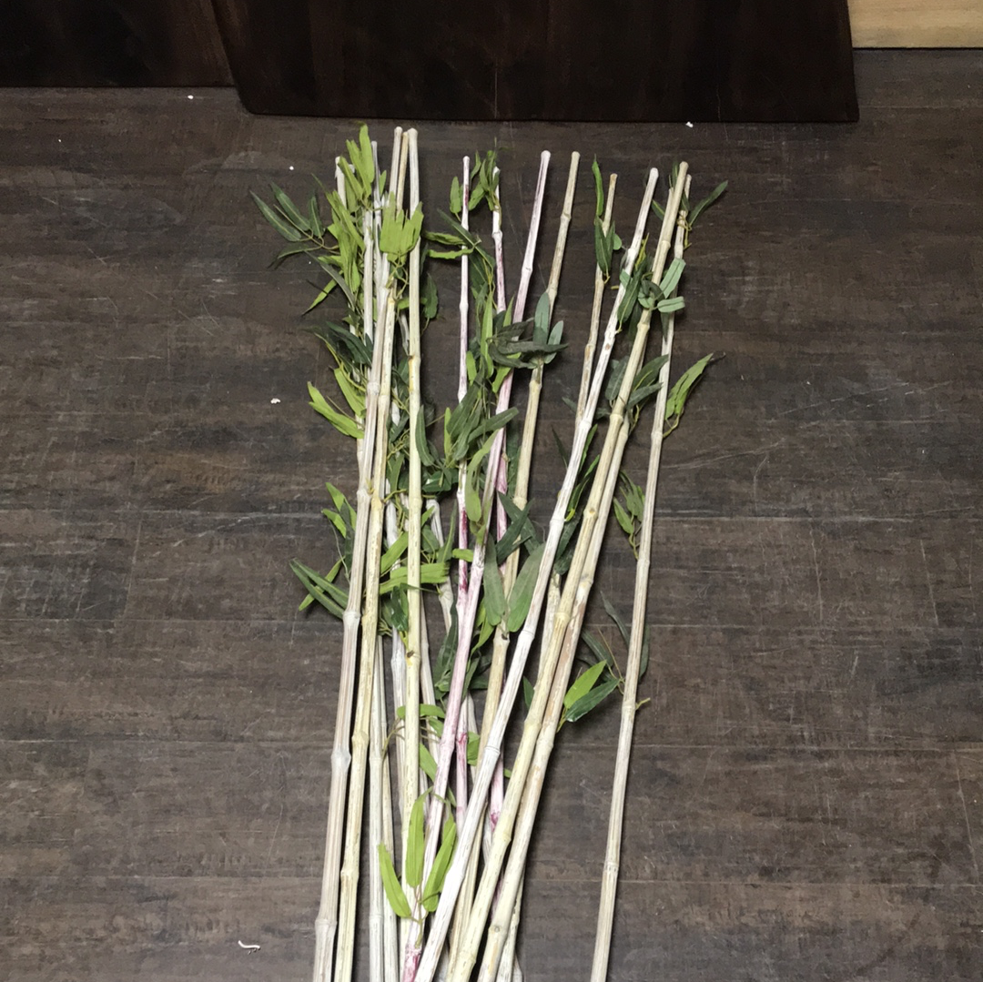 White wash stem with green leaves 80 inches long