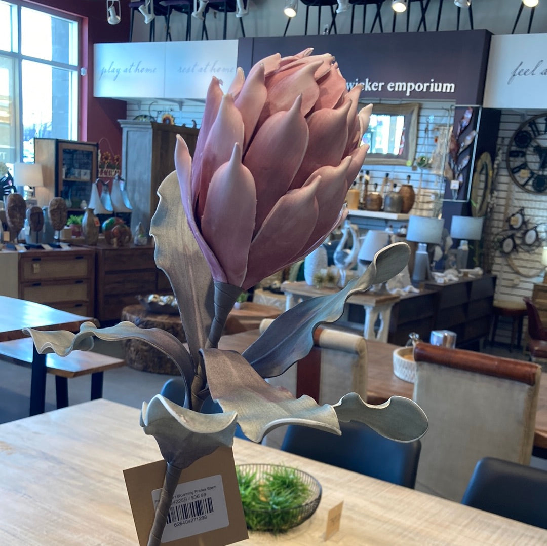 Pink Desert Blooming Protea Stem