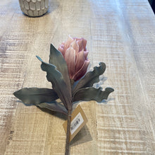 Load image into Gallery viewer, Pink Desert Blooming Protea Stem
