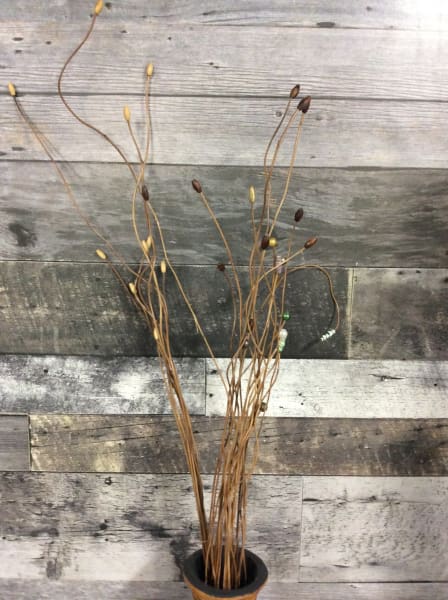 Pandanus Deco Stand K Assorted (10 stems/bundle)