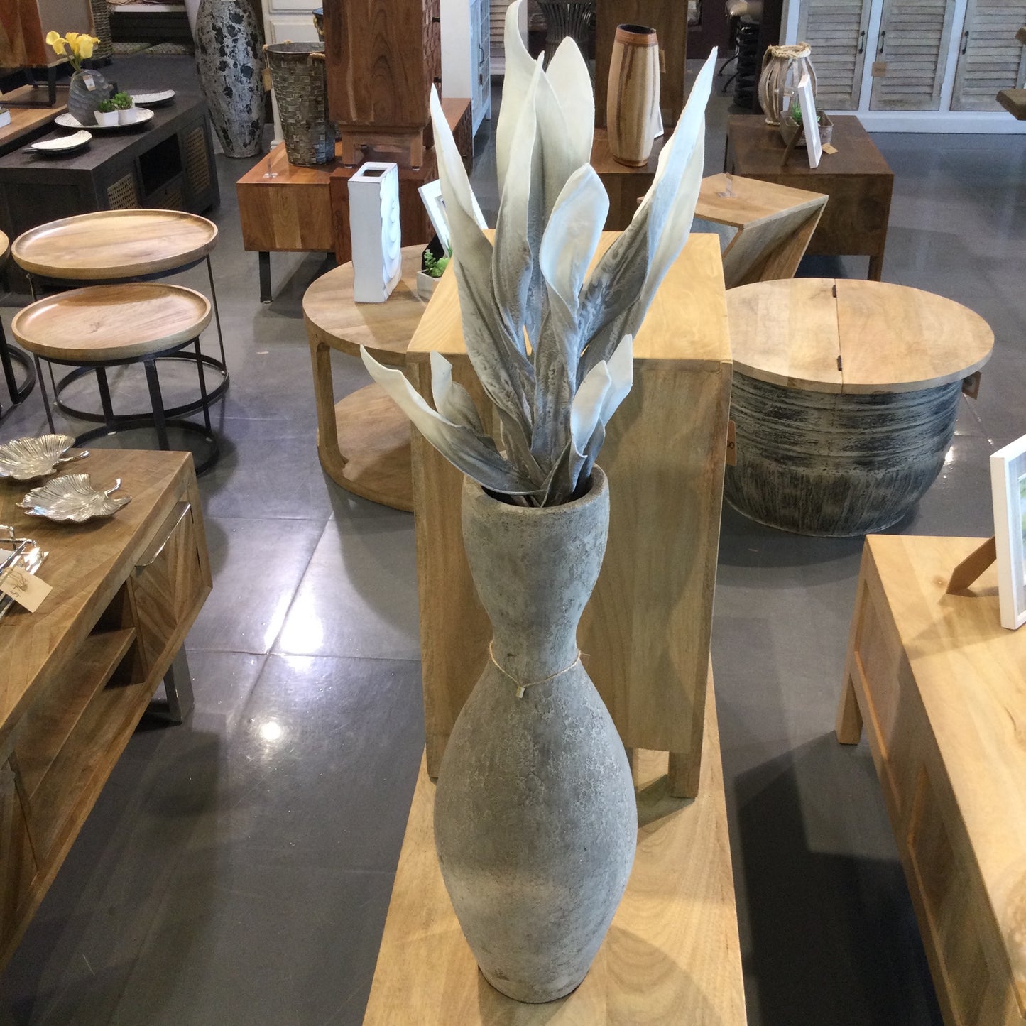 Antique Grey Desert Broad Leaf Flame Grass Stem