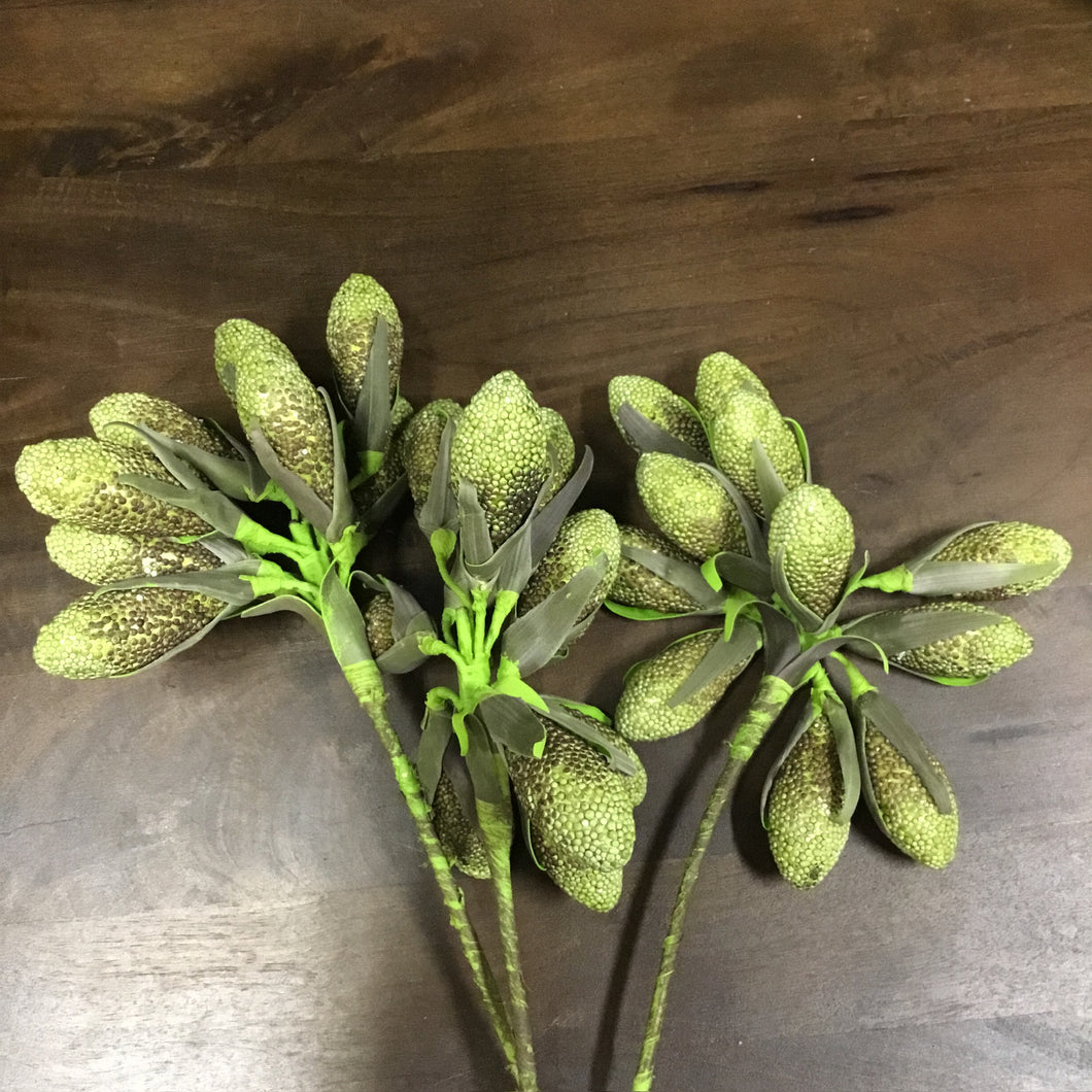 Desert Rind Pods Stem