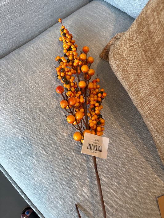 Autumn Orange Berry Branch