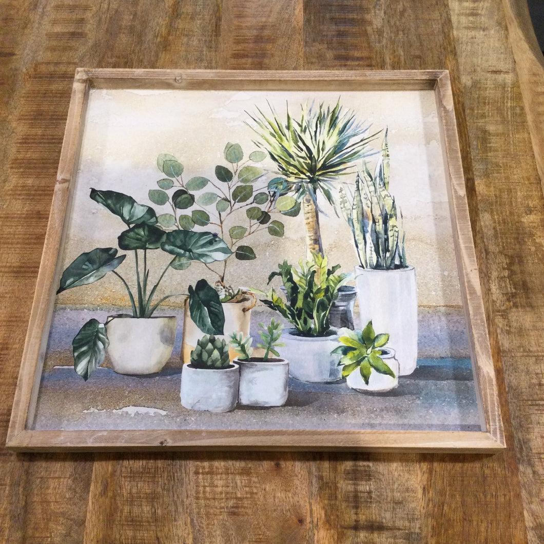 Framed Assorted Potted Plants, painting