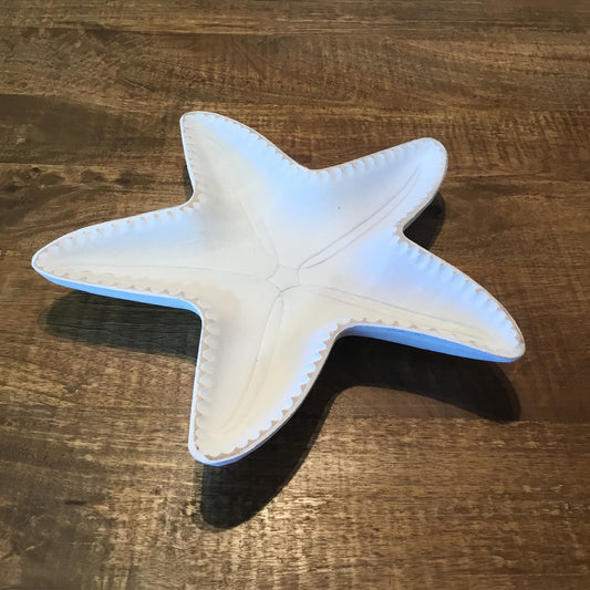 Medium Starfish Dish