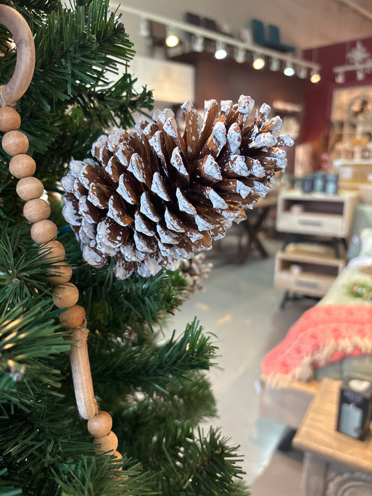 Large Pine Cone