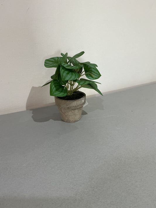 Fake plant