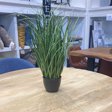 Load image into Gallery viewer, ARTIFICIAL PLANT - 23&quot;H / INDOOR GRASS IN A 4&quot; POT
