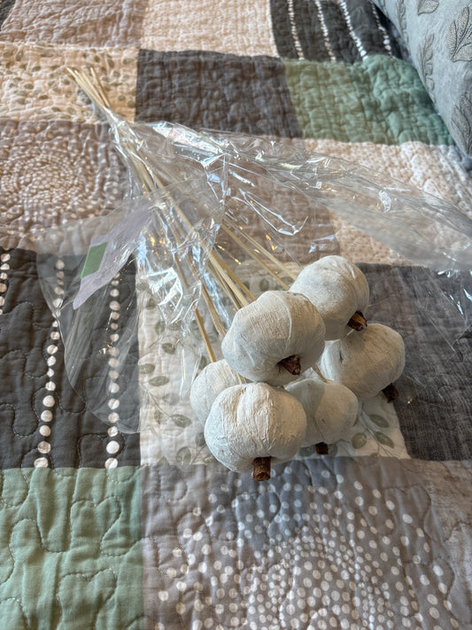 White Pumpkin Sticks