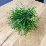 Grass Ball 5d