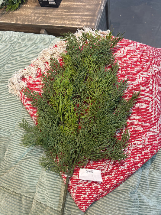 Cedar Christmas Branches