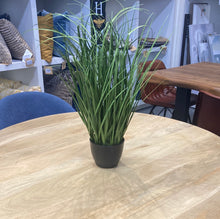 Load image into Gallery viewer, ARTIFICIAL PLANT - 23&quot;H / INDOOR GRASS IN A 4&quot; POT
