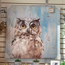 Load image into Gallery viewer, Western Screech Owl - Oil Painting
