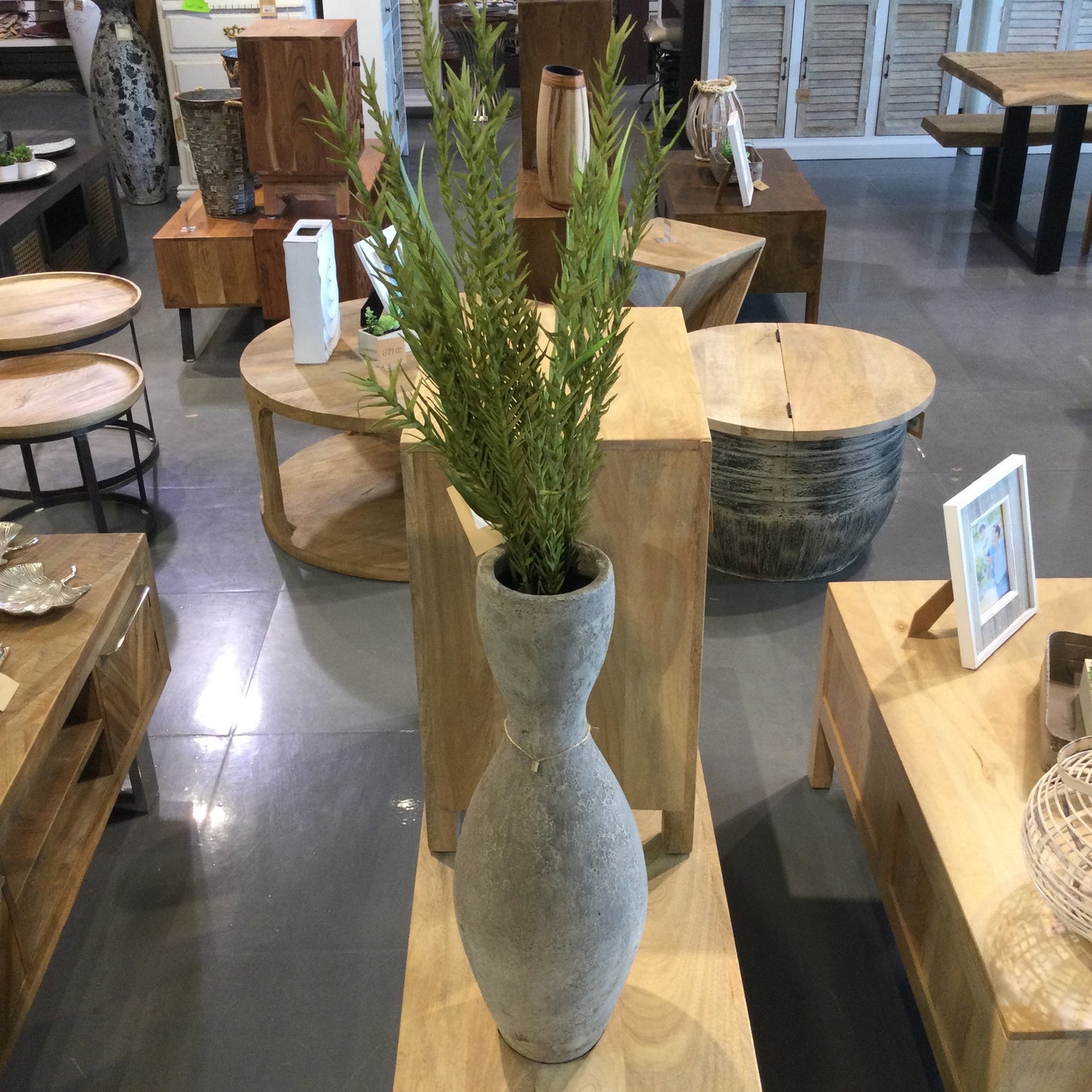 Green Desert Pine Stem