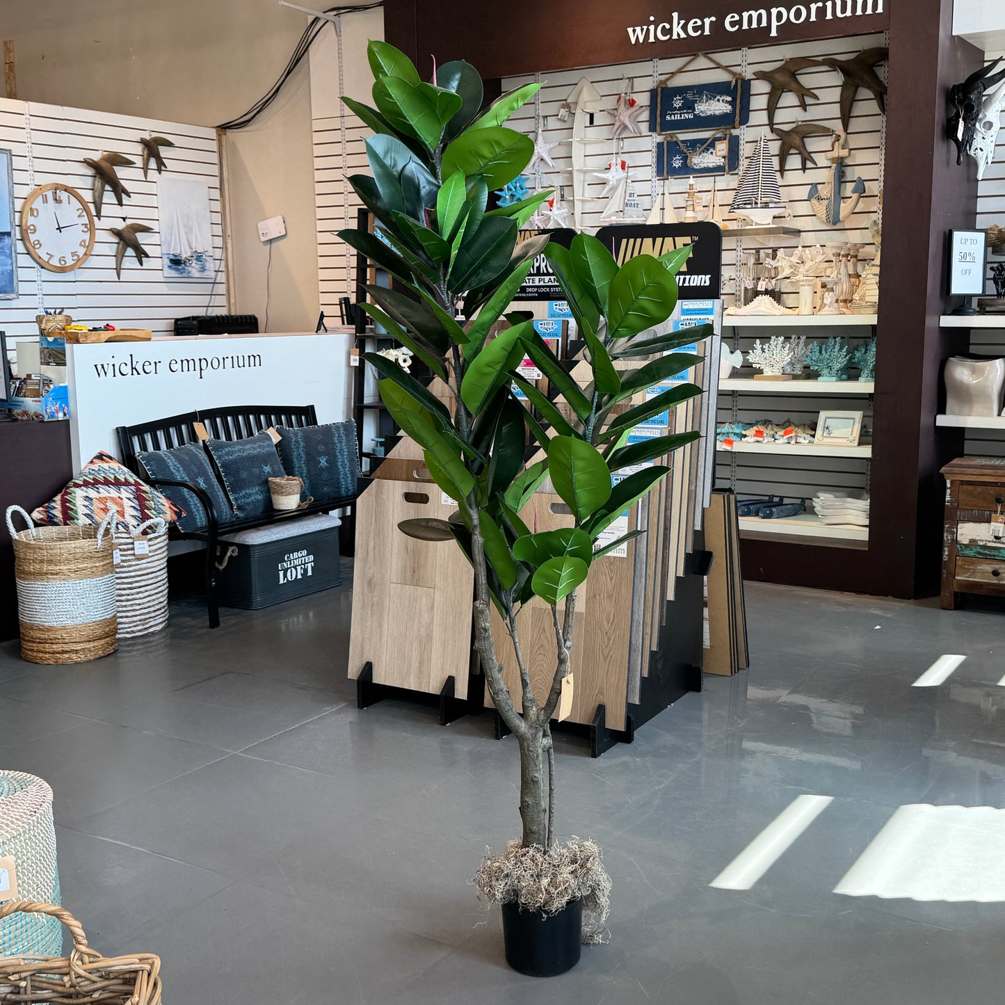 Ficus Elastica Fake Plant