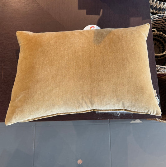 Vera Velvet Pillow