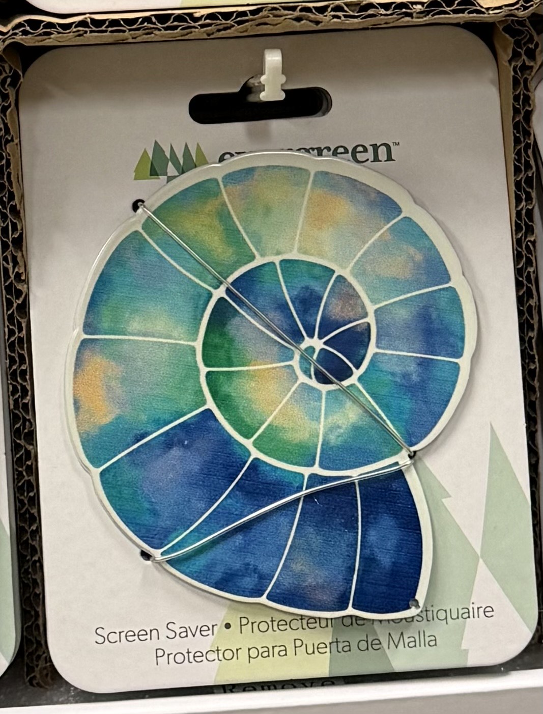 Curled Shell Magnet