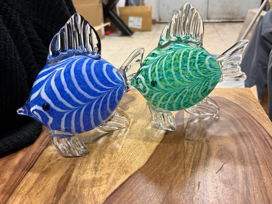 Glass Fish Asst.
