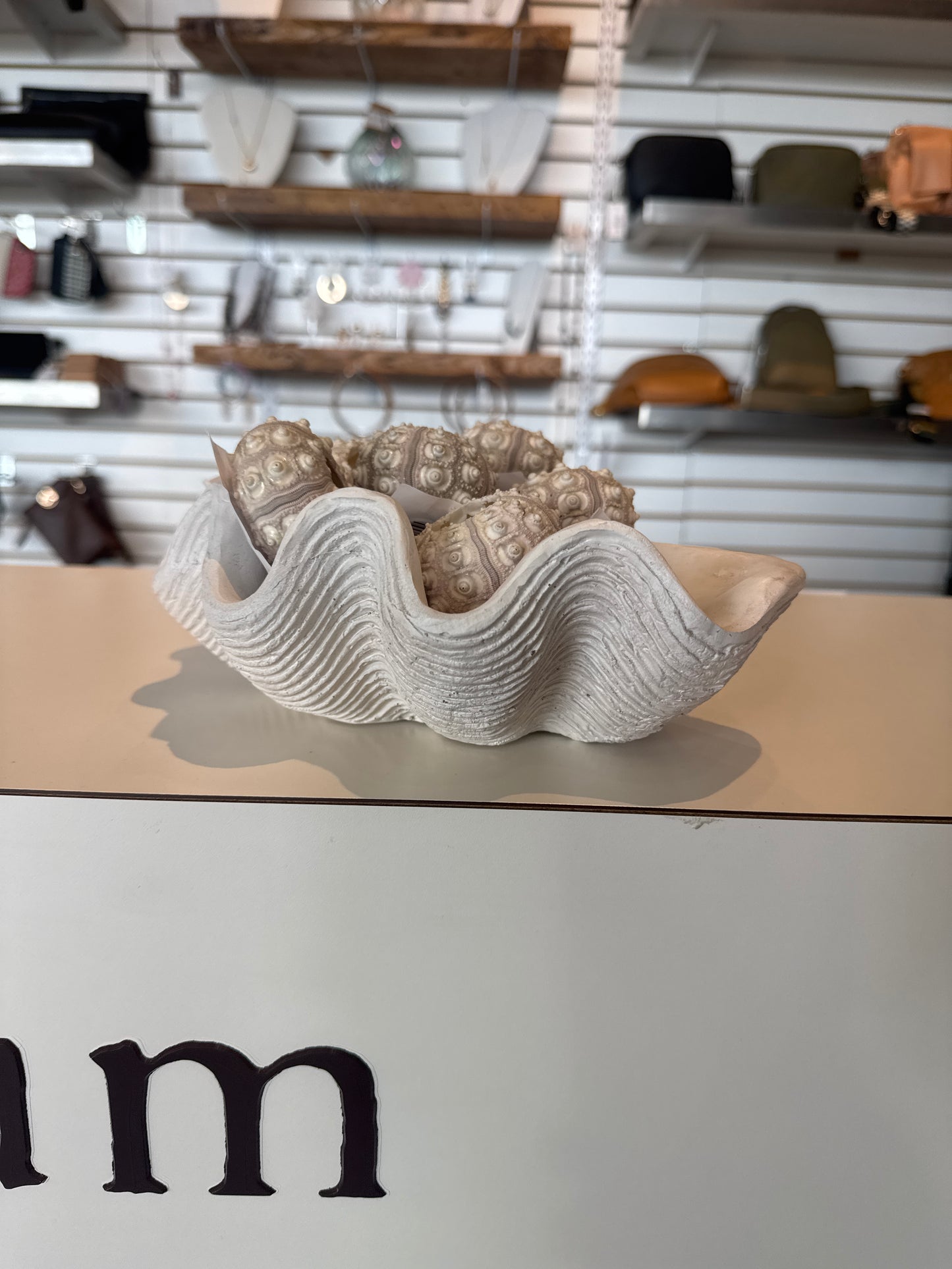 Sea Shell White Dish