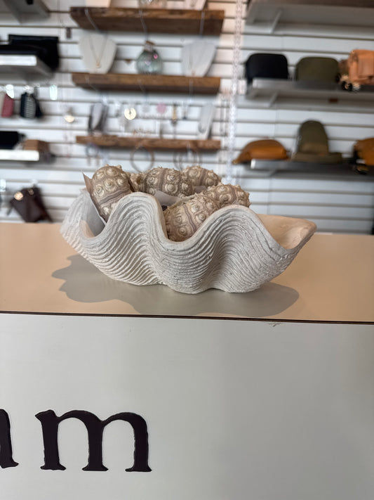 Sea Shell White Dish