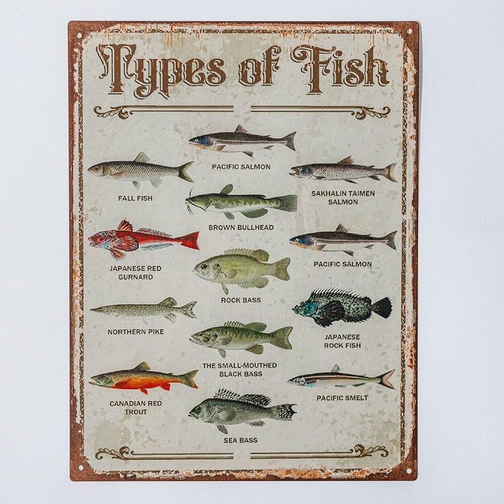 Fish Metal Wall decorative Plaque