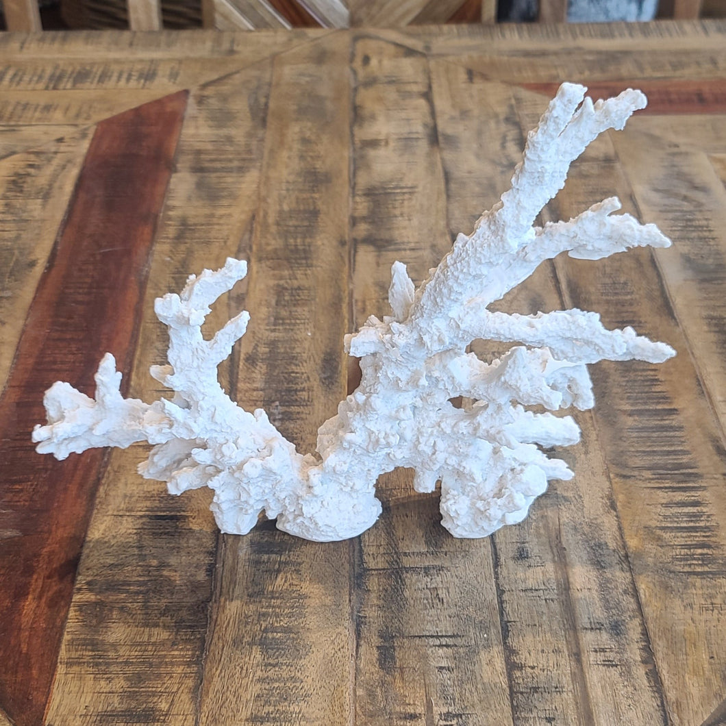 Large White Coral Branch