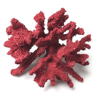 Medium 3D Coral Branch