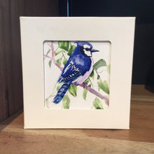 Load image into Gallery viewer, Blue Jay Square Stone Edge Coasters (Set of 4)
