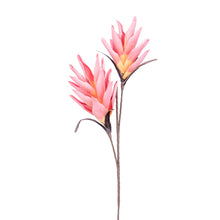 Load image into Gallery viewer, Pink Desert Tropic 2 Bloom Paradise Stem

