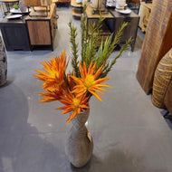Orange Desert Two Bloom Cactus Flower Stem