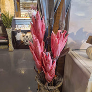 Pink Desert Tropic 2 Bloom Paradise Stem
